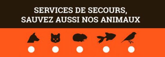 l'autocollant et la carte "Services de secours, sauvez aussi nos animaux"